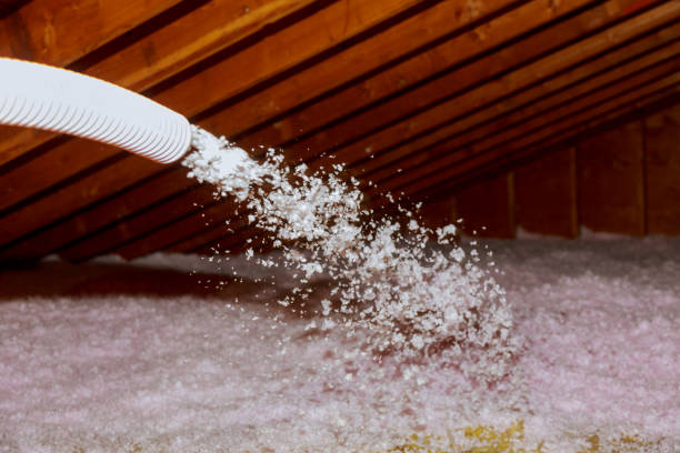 Best Types of Insulation in Woodville, FL