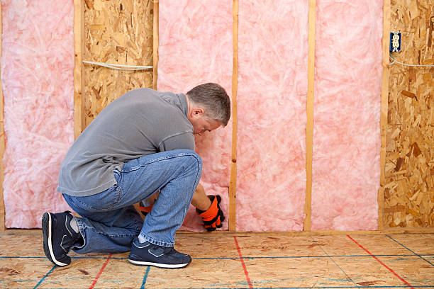 Best Insulation for Specific Applications in Woodville, FL